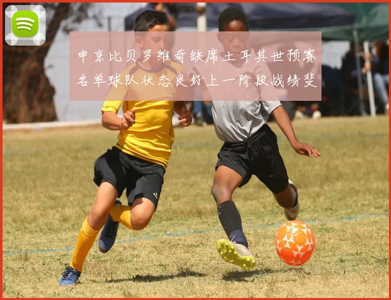 申京比贝罗维奇缺席土耳其世预赛名单球队状态良好上一阶段战绩斐然